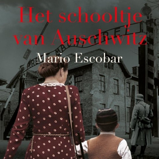 Het schooltje van Auschwitz Luisterboek