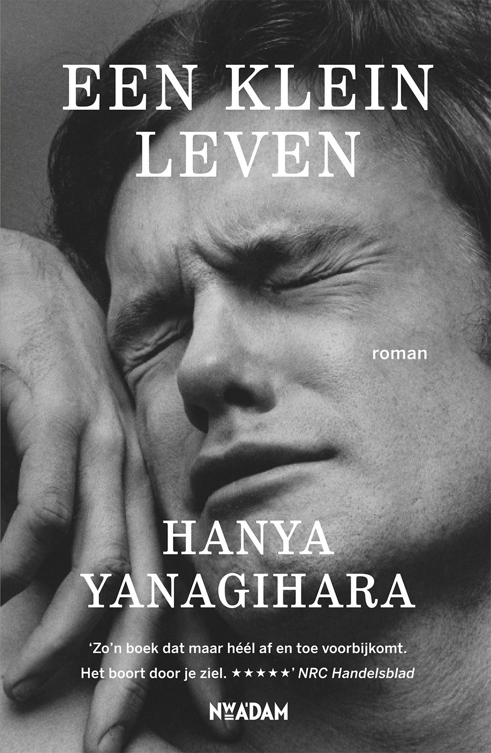 Een klein leven - Hanya Yanagihara, ebook, goedkope boeken, romans, christelijke, eboek, boek