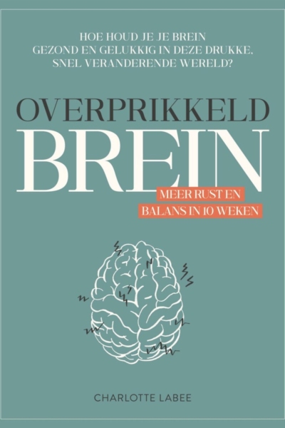 Overprikkeld Brein