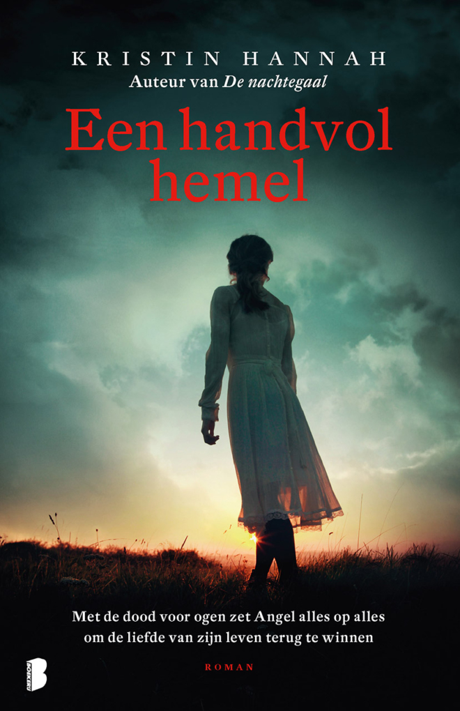 Een handvol hemel - Kristin Hannah