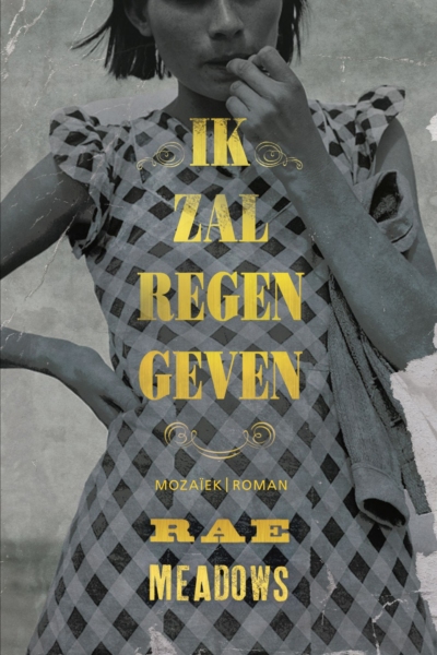 Ik zal regen geven, Rea Meadows, ebook, aanbieding