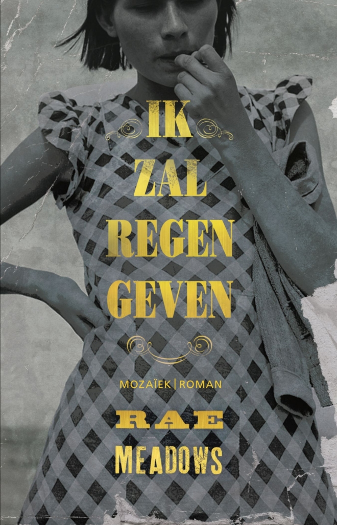 Ik zal regen geven, Rea Meadows, ebook, aanbieding