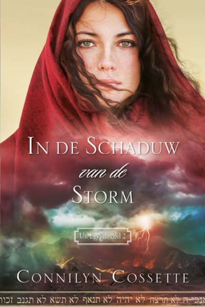 In de schaduw van de storm - Connilyn Cosette