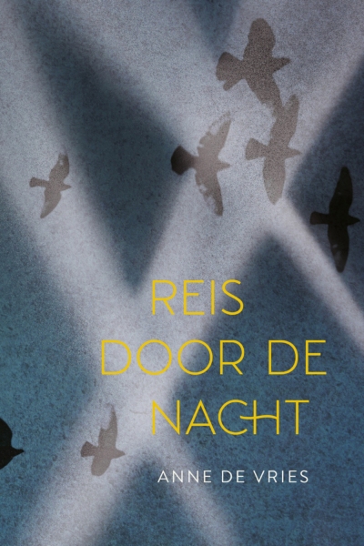 Reis door de nacht, Goedkope eboeken, ePub, Anne de Vries