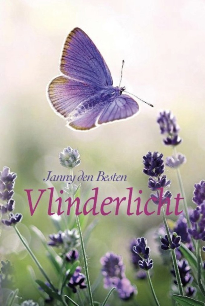 Vlinderlicht - Janny den Besten