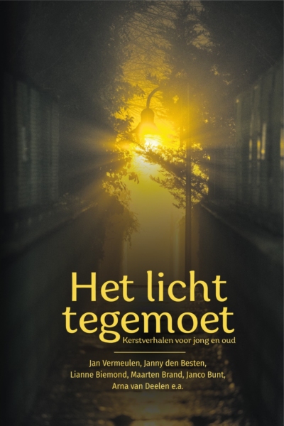 Het licht tegemoet - Diverse auteurs - Kerstverhalen