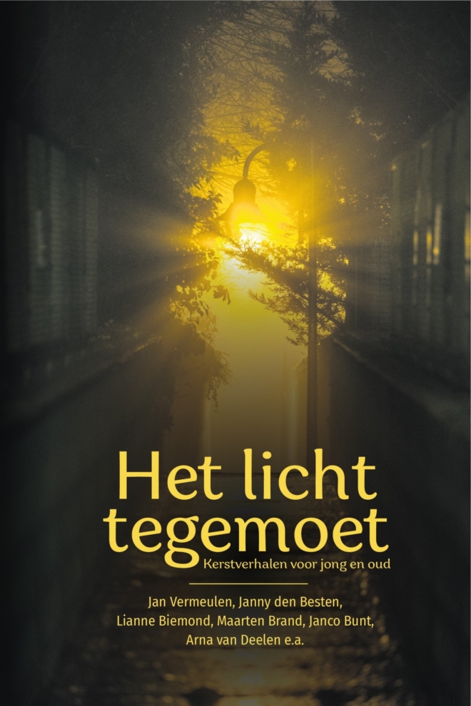 Het licht tegemoet - Diverse auteurs - Kerstverhalen