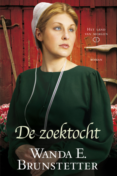 Wanda E. Brunstetter - de zoektocht